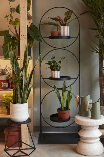 Black Metal Circular Plant Stand