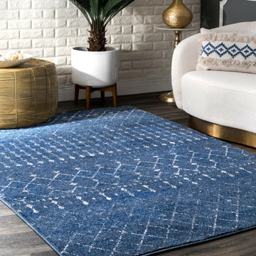 10x14 Navy nuLoom Rug
