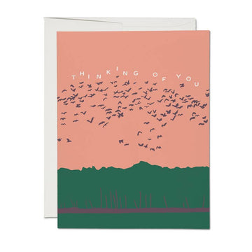 Birds in Flight Greeting Card